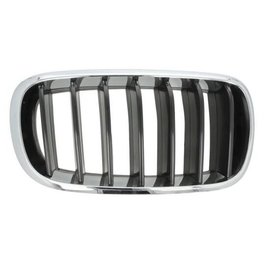 6502-07-00969922P - Radiator Grille 