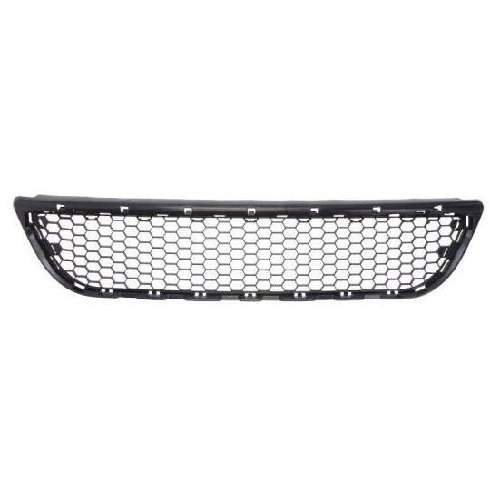 6502-07-1301910P - Ventilation Grille, bumper 