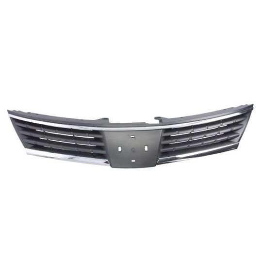 6502-07-1636990P - Radiator Grille 