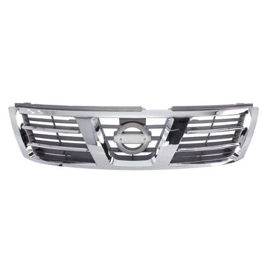 6502-07-1647990P - Radiator Grille 