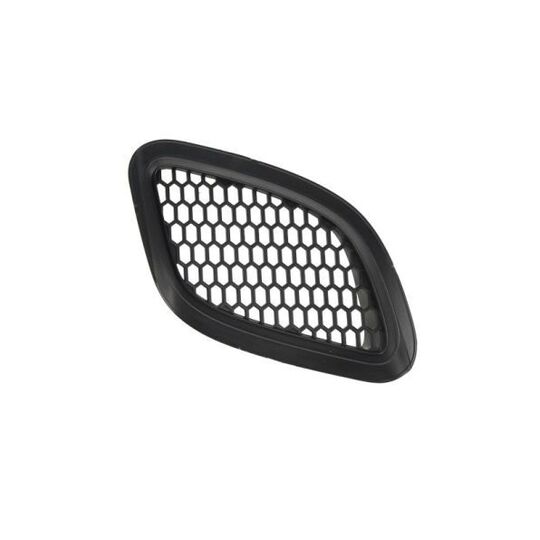 6502-07-2013911AQ - Ventilation Grille, bumper 