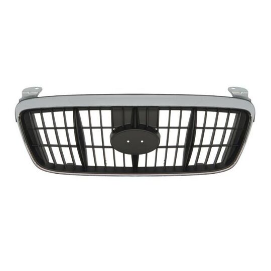 6502-07-3163990P - Radiator Grille 