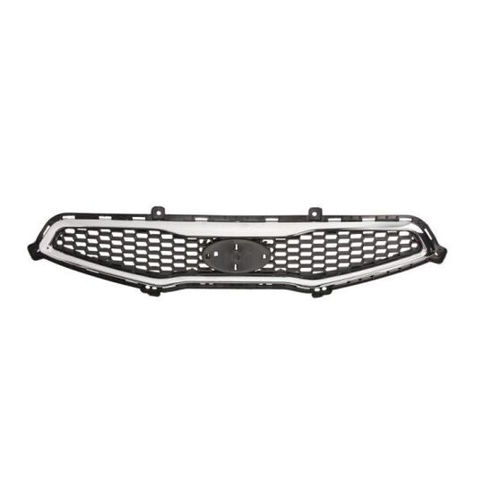 6502-07-3266990P - Radiator Grille 