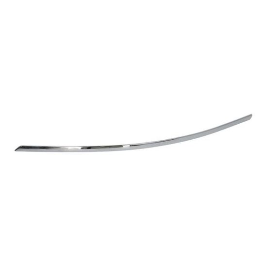 6502-07-3509922P - Trim/Protective Strip, bumper 