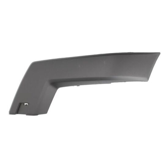 6502-07-3580921P - Trim/Protective Strip, bumper 