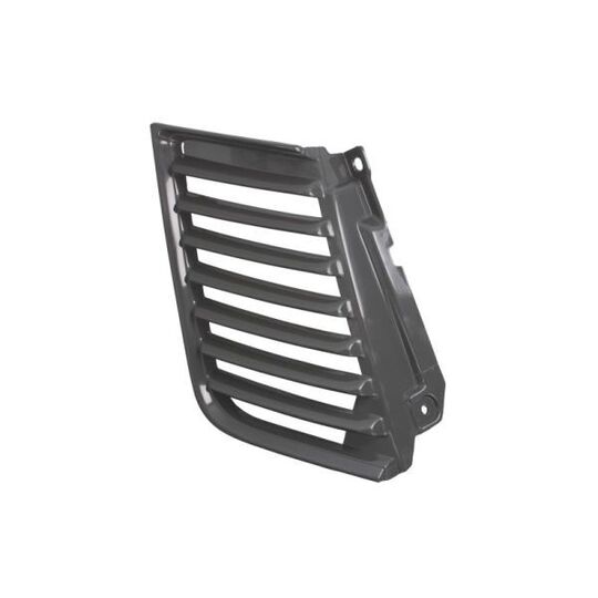 6502-07-3783996P - Radiator Grille 