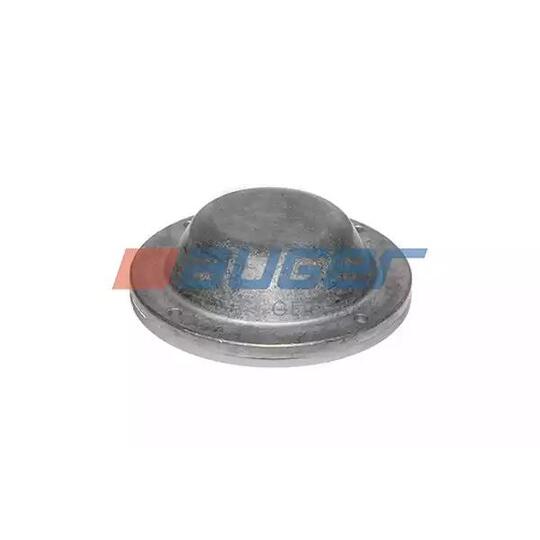 80248 - Cap, wheel bearing 