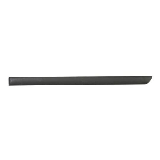 9999-43-006443P - Trim/Protective Strip, door 