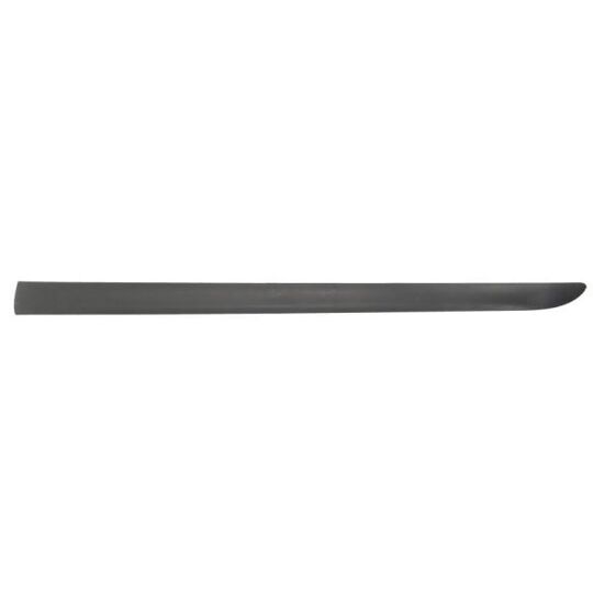 9999-43-008441P - Trim/Protective Strip, door 