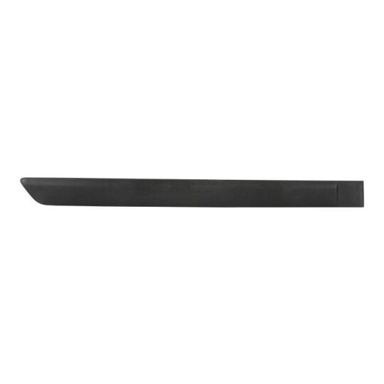 9999-43-008444P - Trim/Protective Strip, door 