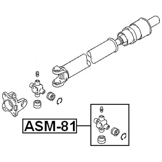 ASM-81 - Liigend, pikivõll 