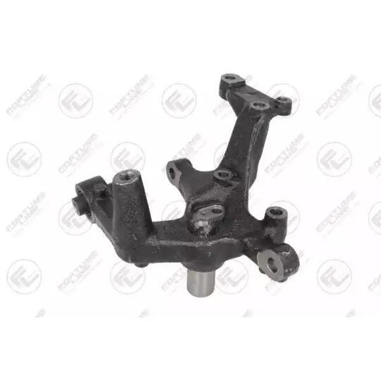 FZK021P - Stub Axle, wheel suspension 