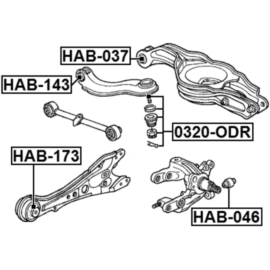 HAB-173 - Puks 