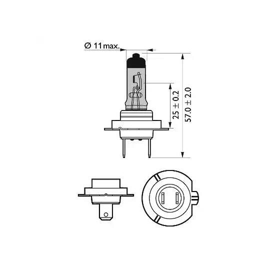 12972RVB1 - Bulb 