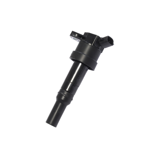 134079 - Ignition coil 