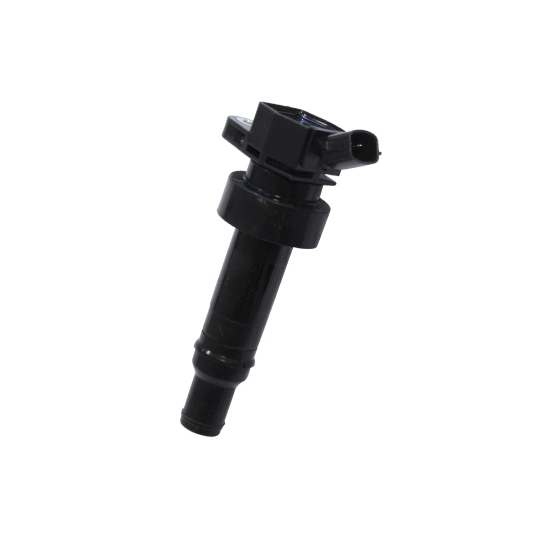 134080 - Ignition coil 