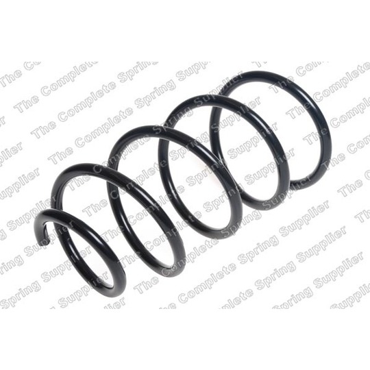 17816 - Coil Spring 