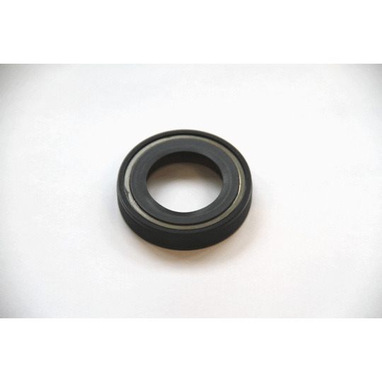 20015493B - Shaft Seal, differential 
