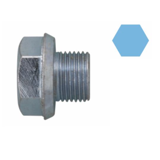 220071H - Sealing Plug, oil sump 