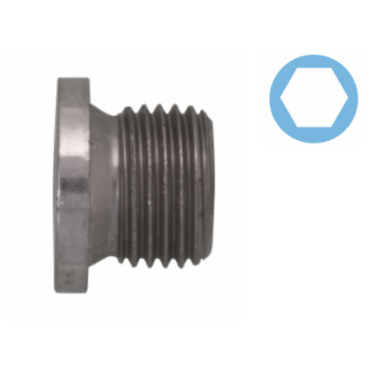 220137S - Sealing Plug, oil sump 