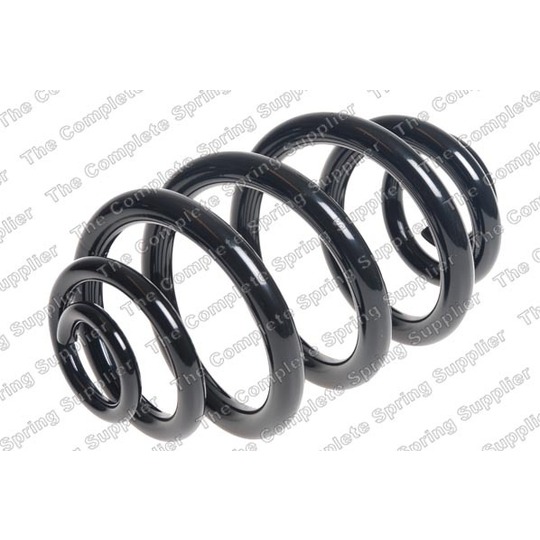 251039 - Coil Spring 