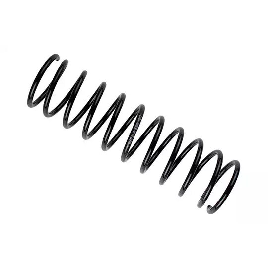 36-262663 - Coil Spring 