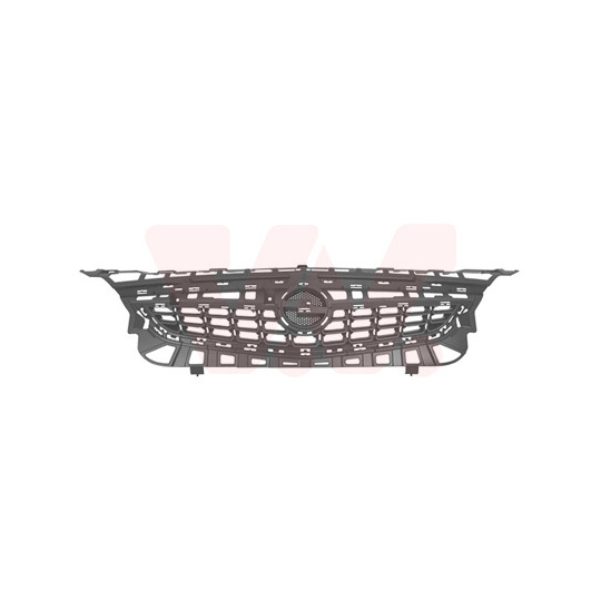 3749510 - Radiator Grille 