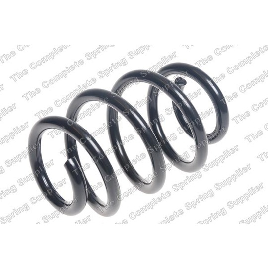 4256891 - Coil Spring 