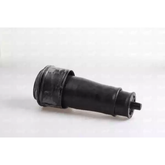 43-2022 - Air Spring, suspension 