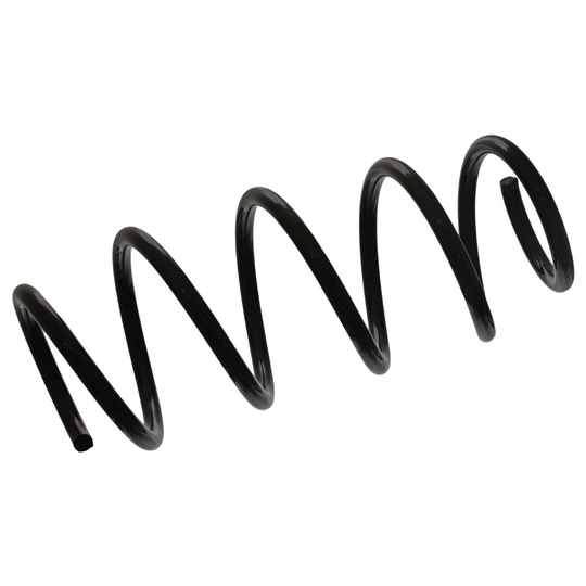 46865 - Coil Spring 