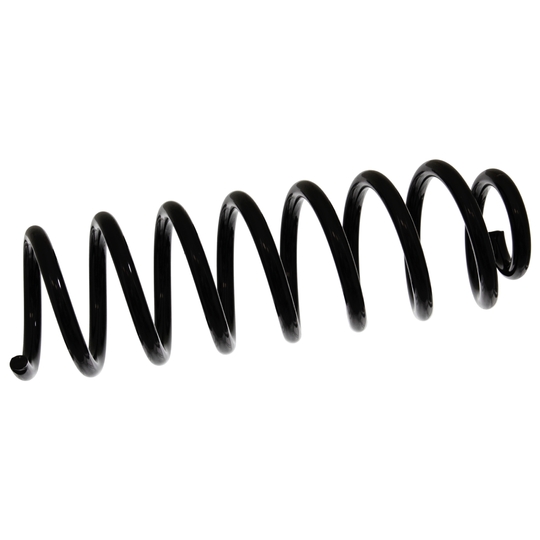 46897 - Coil Spring 