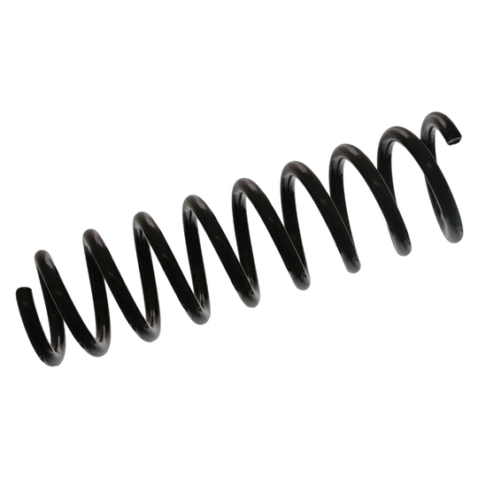 46898 - Coil Spring 