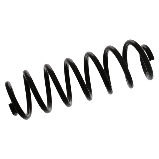 46947 - Coil Spring 