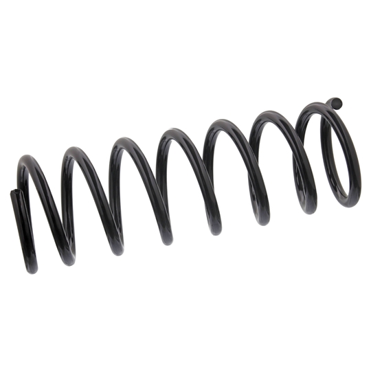 47231 - Coil Spring 