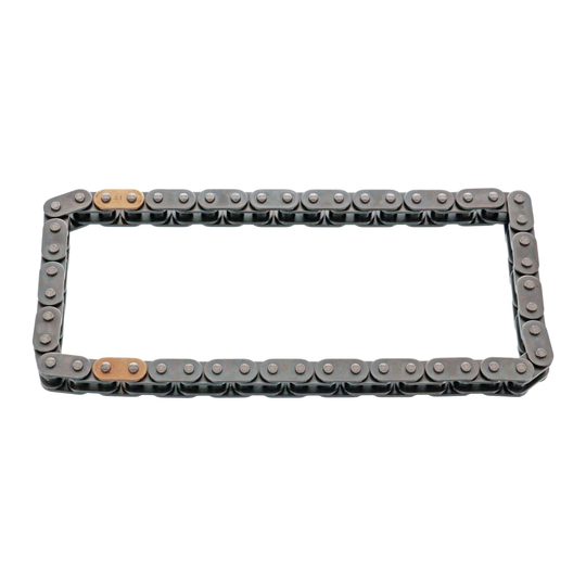 48292 - Timing Chain 