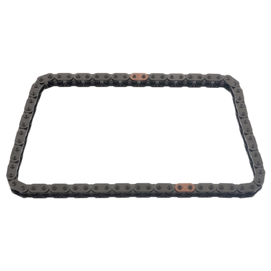 48574 - Timing Chain 