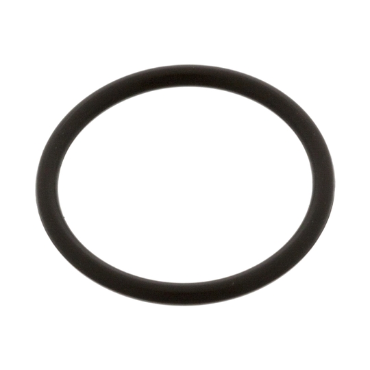 48674 - Seal Ring, injector 