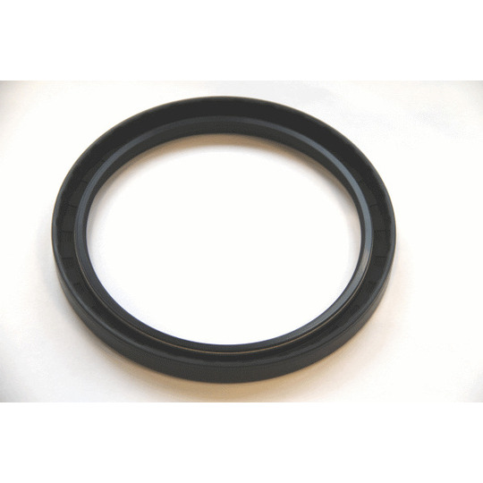 49362530 - Seal Ring 