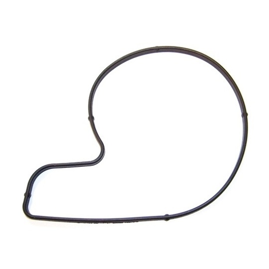 527.900 - Gasket, water pump 