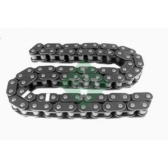 553 0251 10 - Timing Chain 