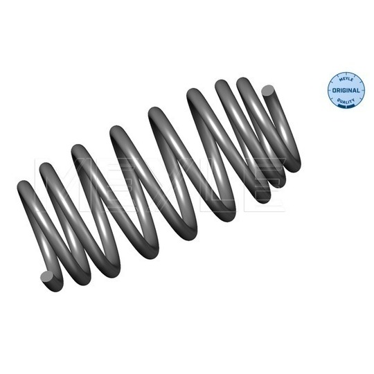 614 739 0004 - Coil Spring 