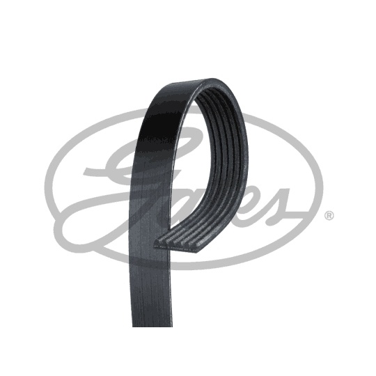 6PK803EMD - V-Ribbed Belt 