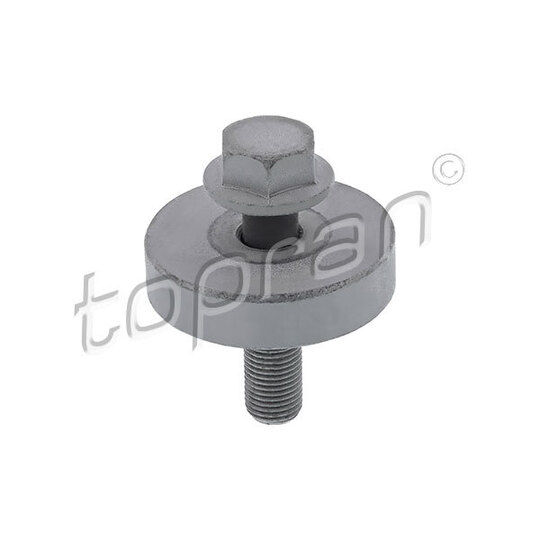 701 616 - Pulley Bolt 