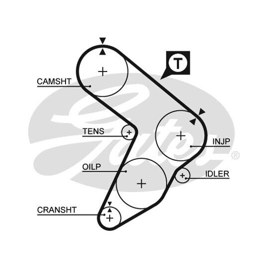 5087 - Timing Belt 