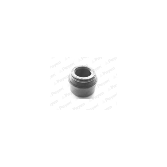 PA6062 - Seal, valve stem 