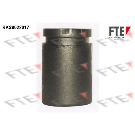 RKS8622017 - Piston, brake caliper 