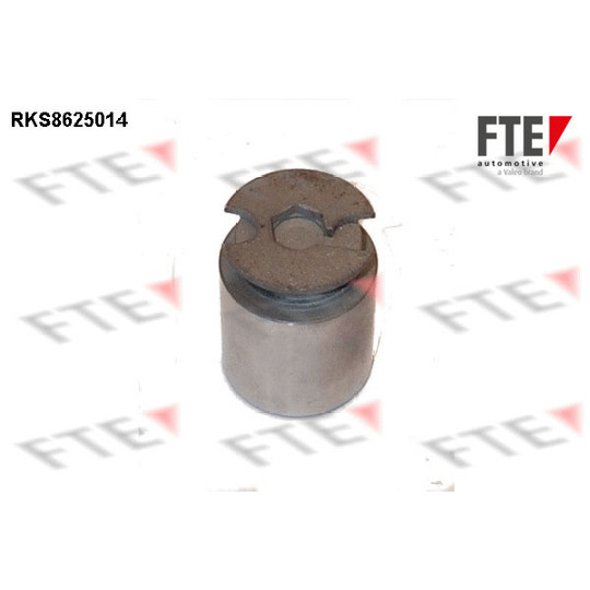 RKS8625014 - Piston, brake caliper 