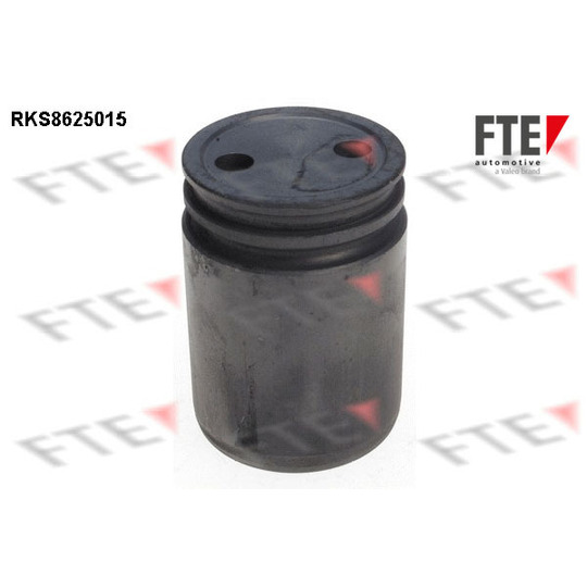 RKS8625015 - Piston, brake caliper 