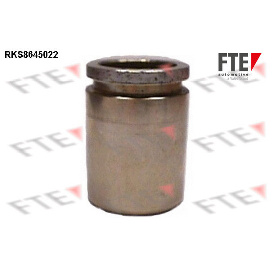 RKS8645022 - Piston, brake caliper 