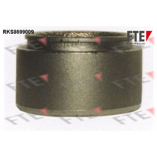 RKS8699009 - Piston, brake caliper 